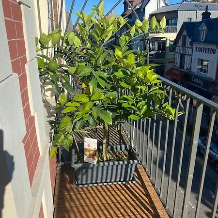 Nid Douillet Sur Appartement *
