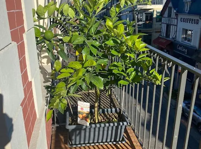 Nid Douillet Sur Апартаменты *